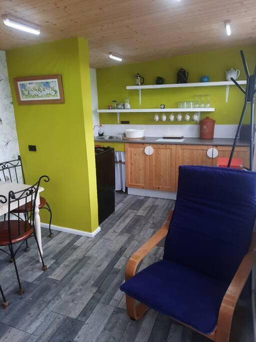Off Grid Rosie Sheperd Hut And Summerhouse Plus 1 Acre At Tanyrallt Appartement Llanybyther Buitenkant foto